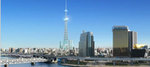 new_tokyo_tower.jpg